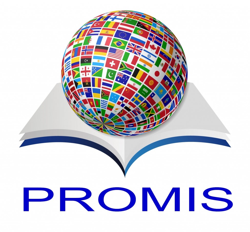 Program Promis Projekt Tempus PROMIS – „Professional Master’s Degree in Computer ...